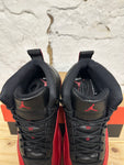Air Jordan 12 Flu Game Sz 11