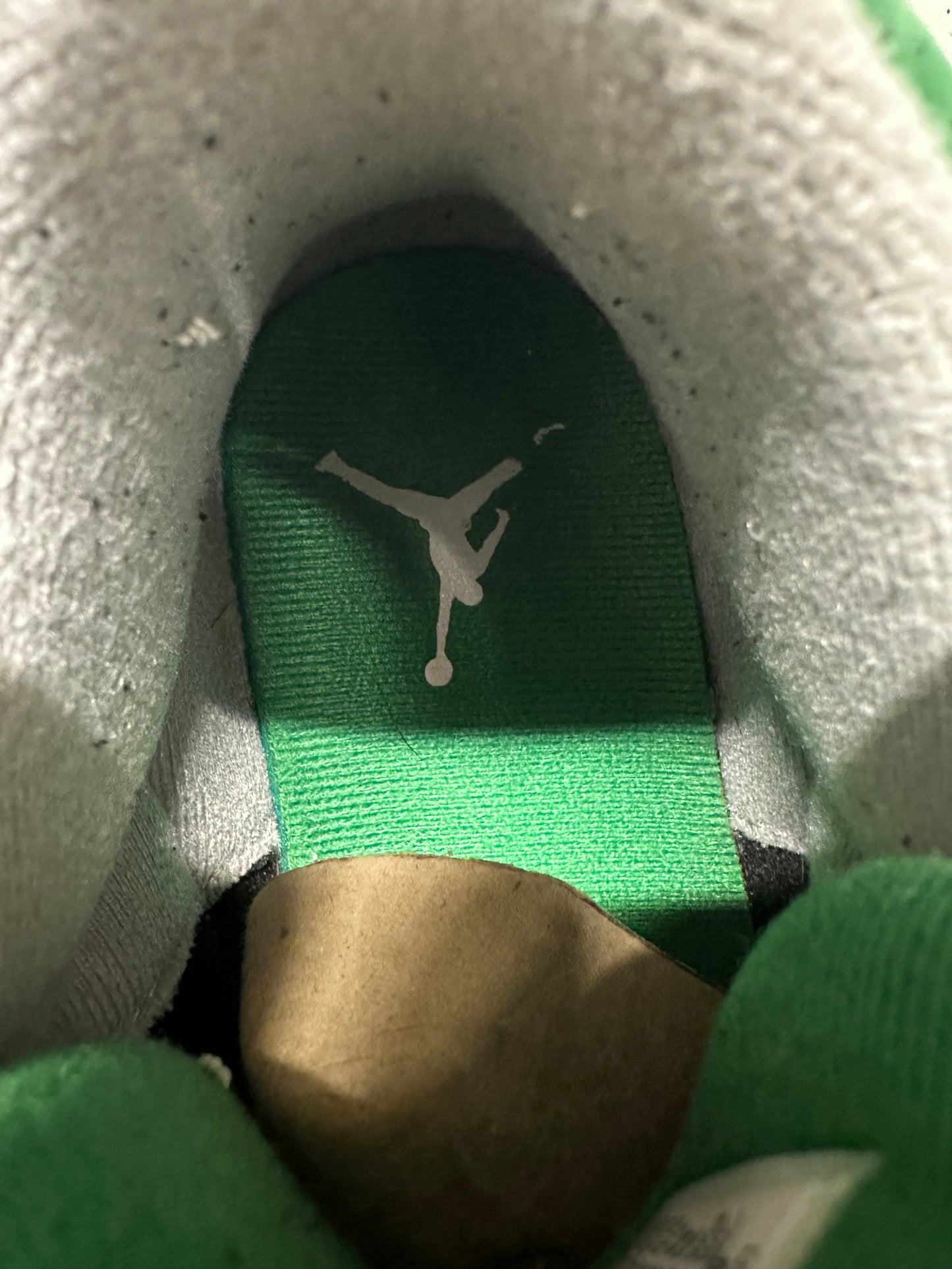 Air Jordan 3 Pine Green Sz 8