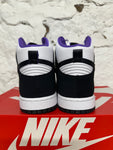 Nike Dunk High World Champs Sz 10.5 DS