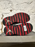 Air Jordan 10 Chicago Bulls (2012) Sz 11