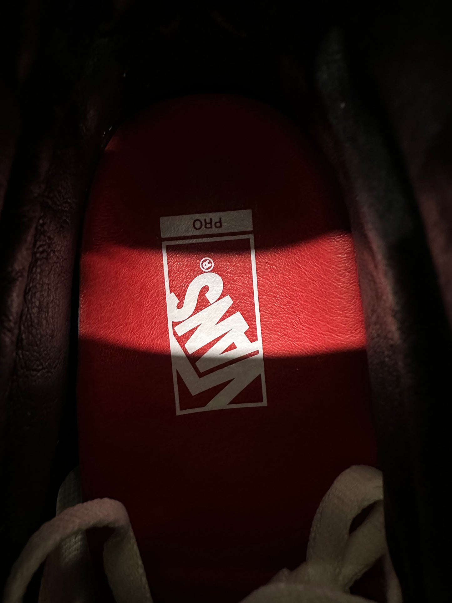 Vans Sk8 Hi Supreme Fuck The World Sz 9 DS