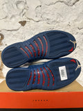 Air Jordan 12 French Blue (2015) Sz 10