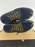 Air Jordan 12 Black Taxi Sz 10.5