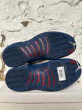 Air Jordan 12 French Blue Sz 10.5