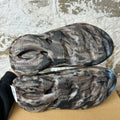YZY Foam Runner MX Cinder Sz 12 DS