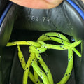 Dolce Gabbana Neon Lace Portofino Sneaker Sz 7.5