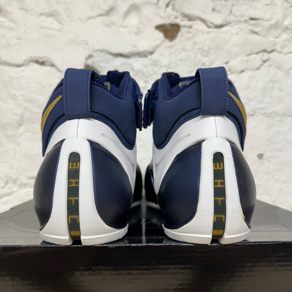 Nike LeBron 4 West Coast Sz 10 DS