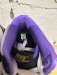 Nike Dunk High World Champs Sz 10.5 DS