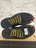 Air Jordan 12 Taxi Sz 10.5