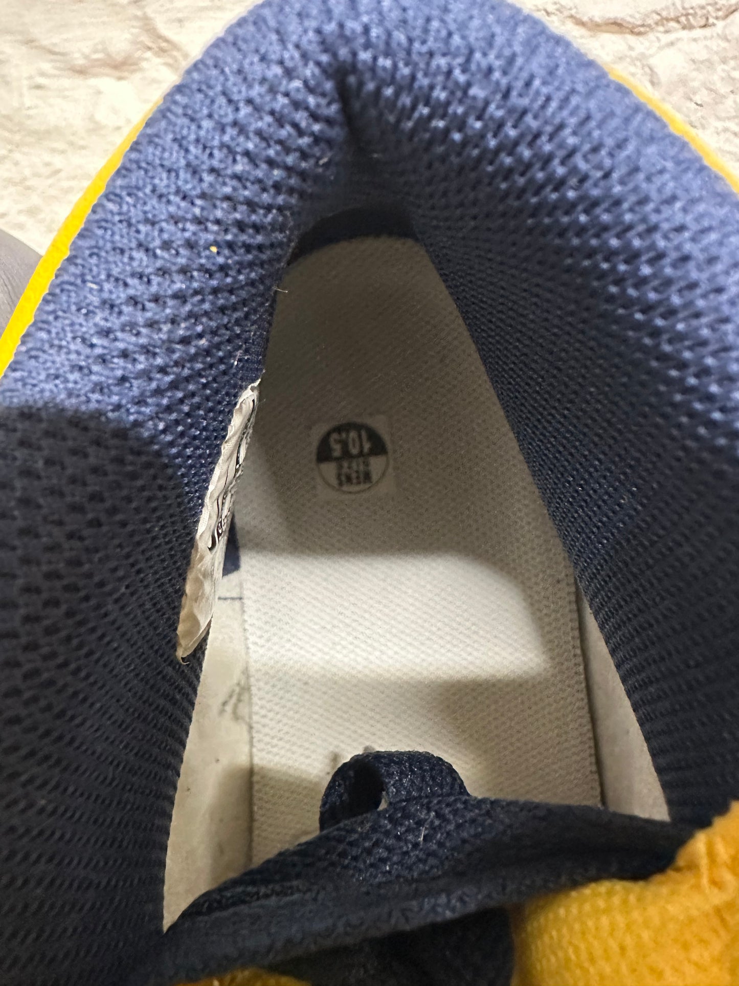 Nike Dunk High Michigan (2016) Sz 10.5