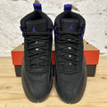 Air Jordan 12 Dark Concord Sz 10