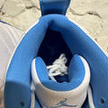Air Jordan 12 Melo (2025) Sz 13 DS