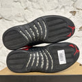 Air Jordan 12 Reverse Flu Game Sz 8.5