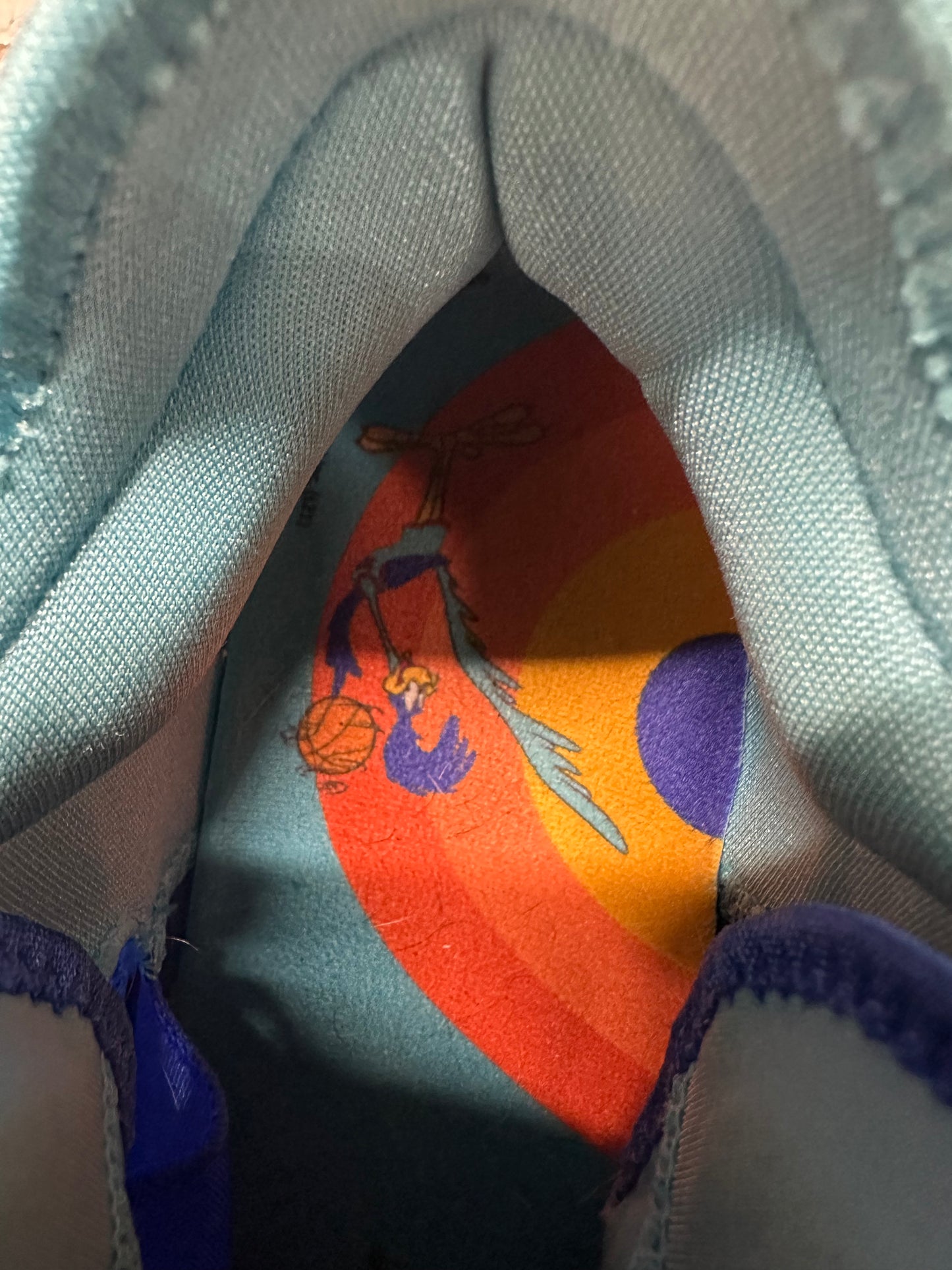 Nike Lebron 18 Low Space Jam Wile E Vs Roadrunner Sz 11