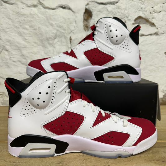 Air Jordan 6 Carmine (2021) Sz 10 DS