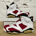 Air Jordan 6 Carmine (2014) Sz 10
