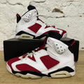 Air Jordan 6 Carmine (2021) Sz 8