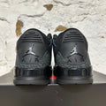 Air Jordan 3 Black Cat (2025) Sz 10.5