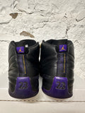 Air Jordan 12 Field Purple Sz 10