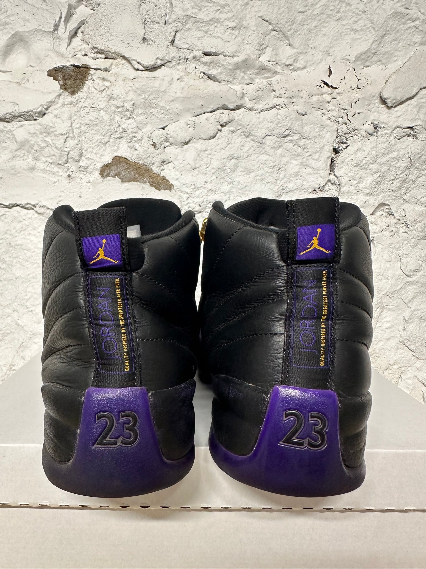 Air Jordan 12 Field Purple Sz 10