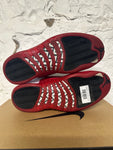 Air Jordan 12 Cherry Sz 10.5