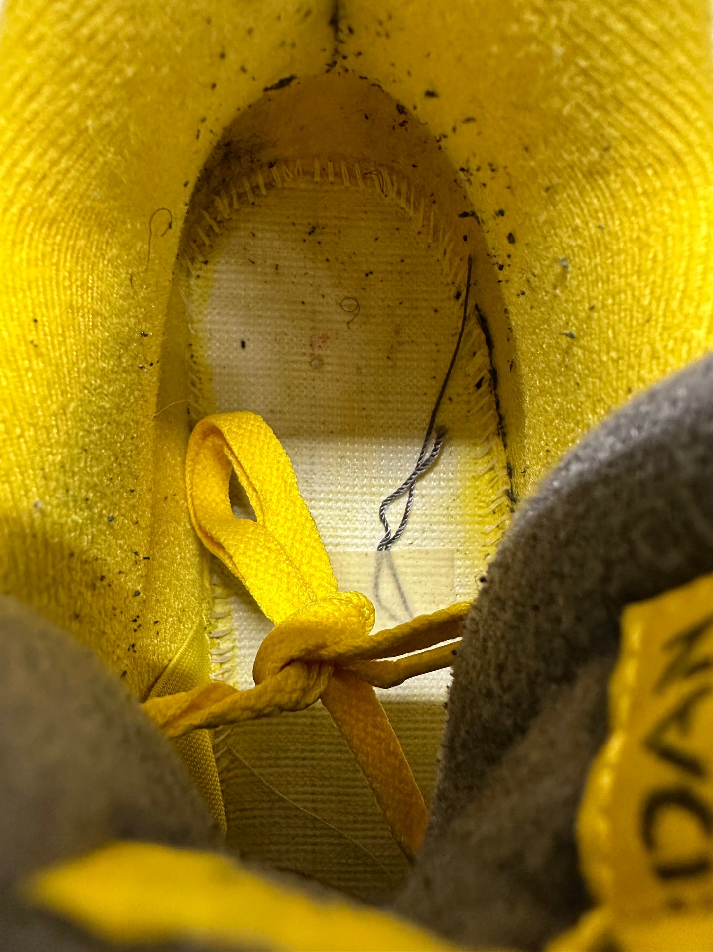 Air Jordan 4 Lightning Sz 12