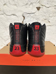 Air Jordan 12 Flu Game Sz 11