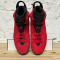 Air Jordan 6 Toro Bravo Sz 12
