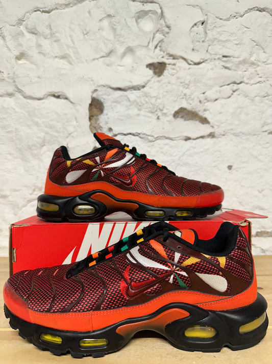 Nike Air Max Plus Sunburst Pack Sz 11.5