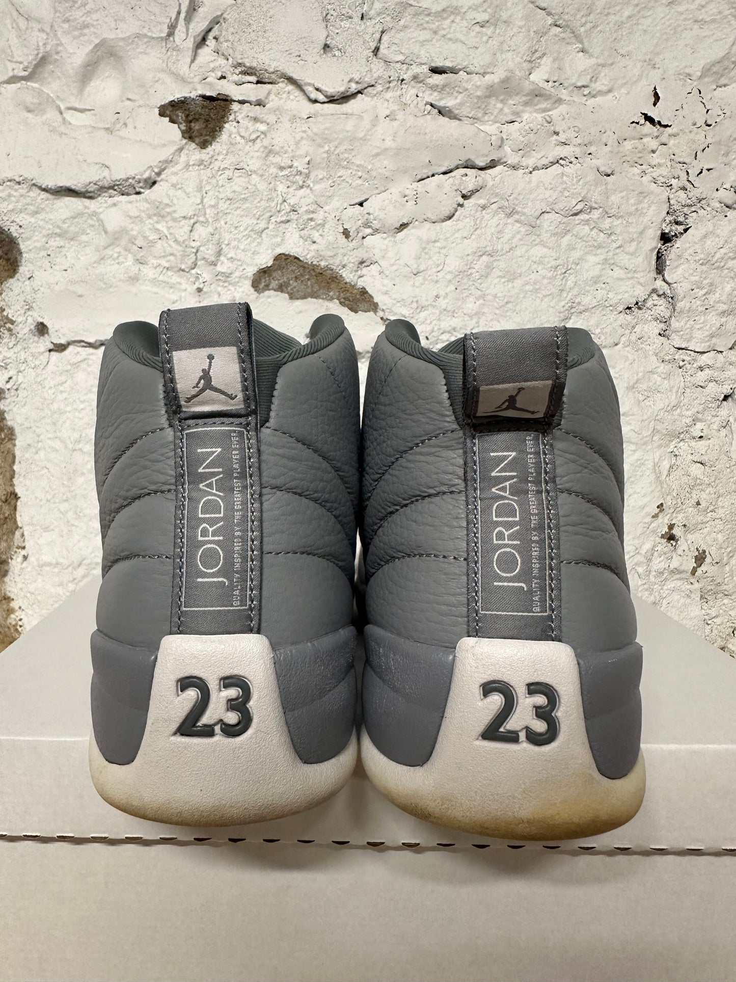 Air Jordan 12 Stealth Sz 10.5