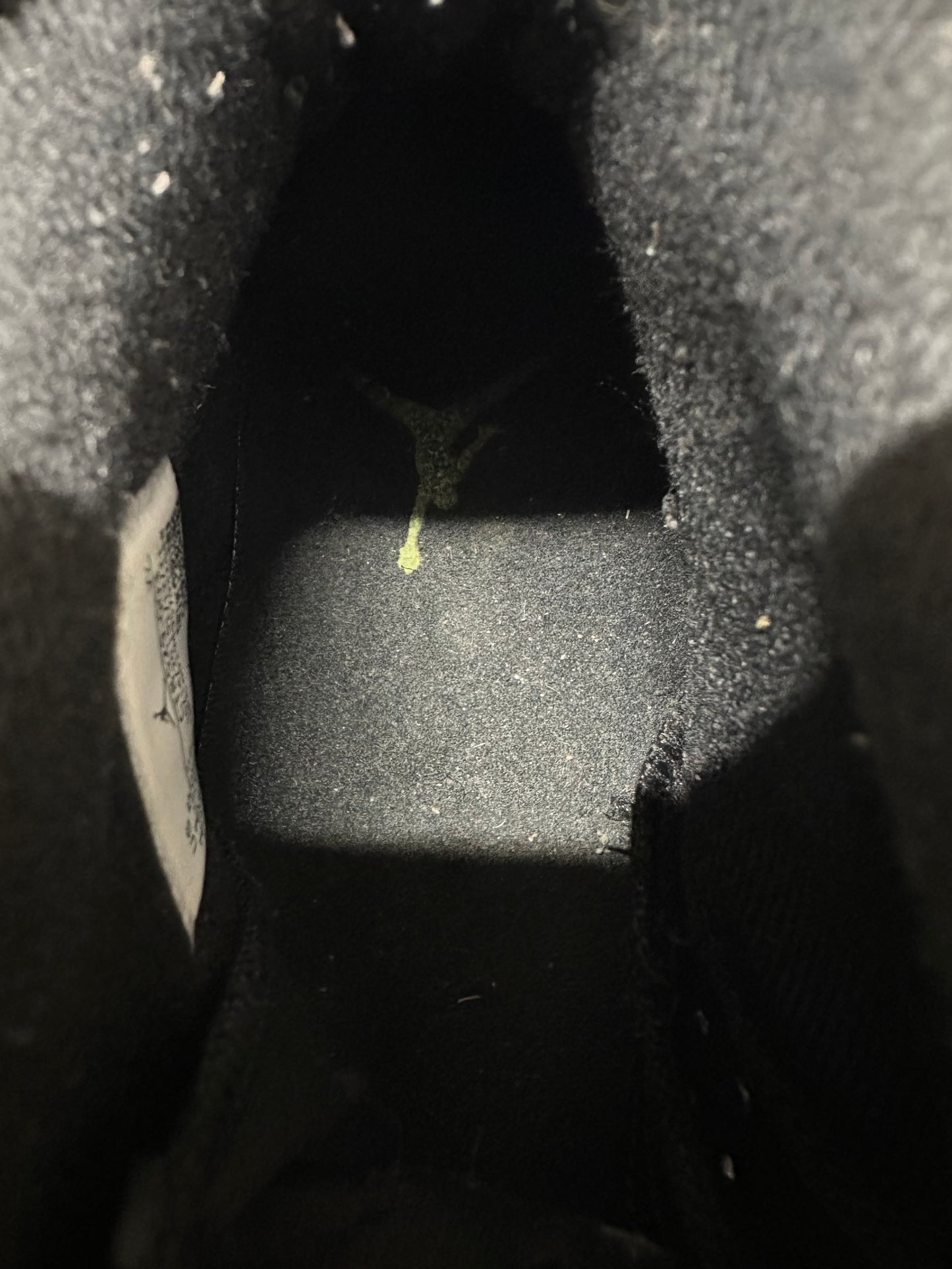 Air Jordan 6 Electric Green Sz 11.5