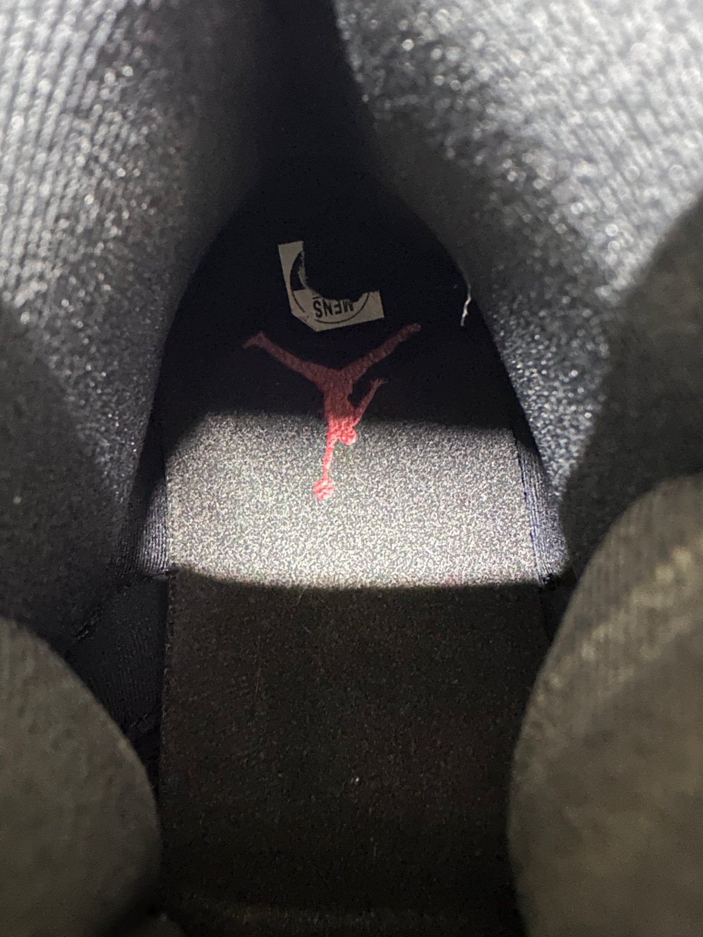 Air Jordan 12 Flu Game Sz 10