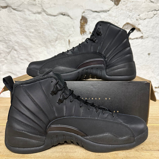 Air Jordan 12 Winterized Sz 13