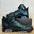 Air Jordan 6 All-Star Chameleon (2017) Sz 10