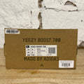 Yeezy 700 Wave Runner Sz 10