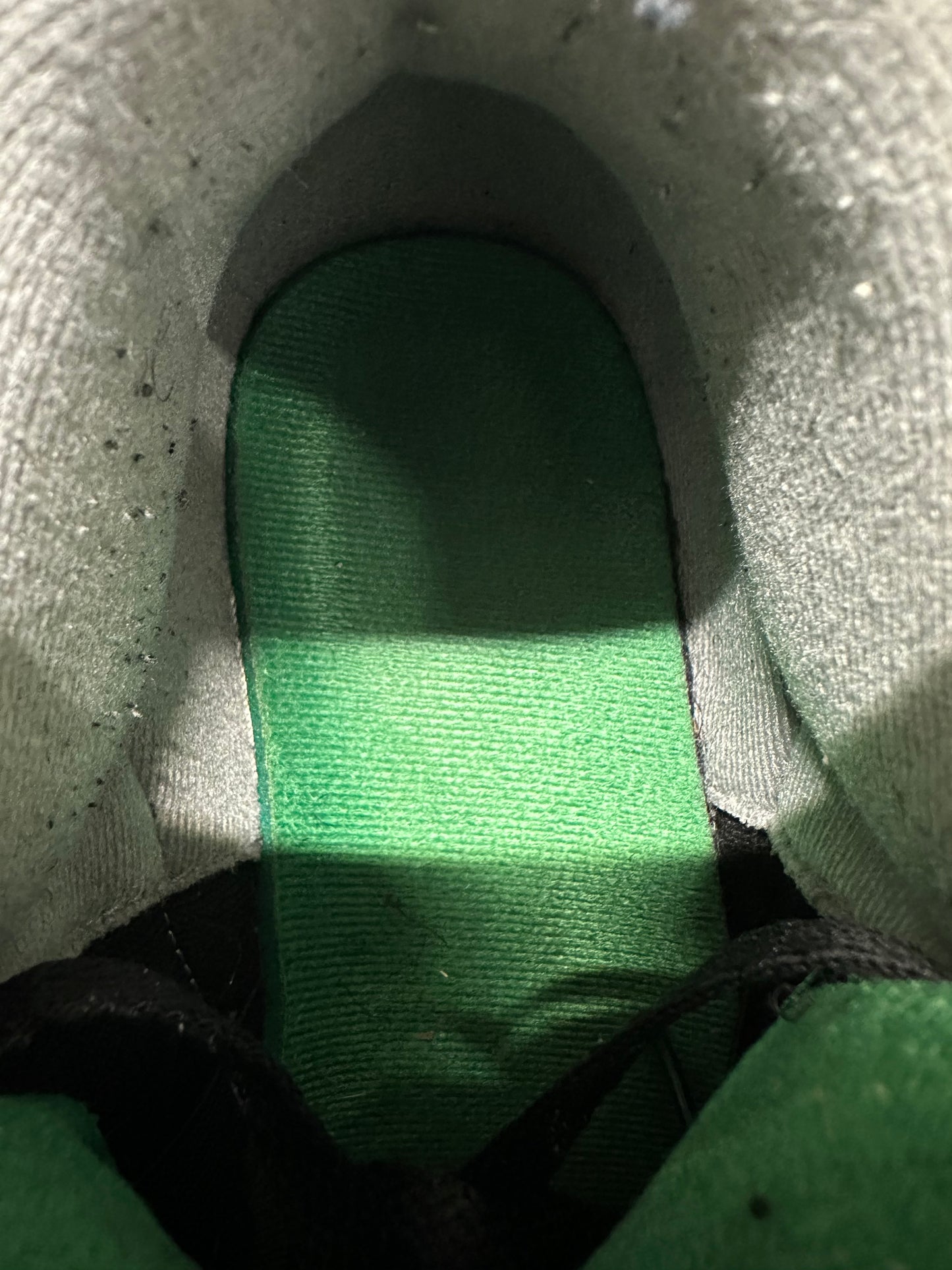 Air Jordan 3 Pine Green Sz 10