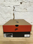 Air Jordan 12 Flu Game Sz 11