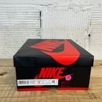 Air Jordan 1 Court Purple 2.0 Sz 10