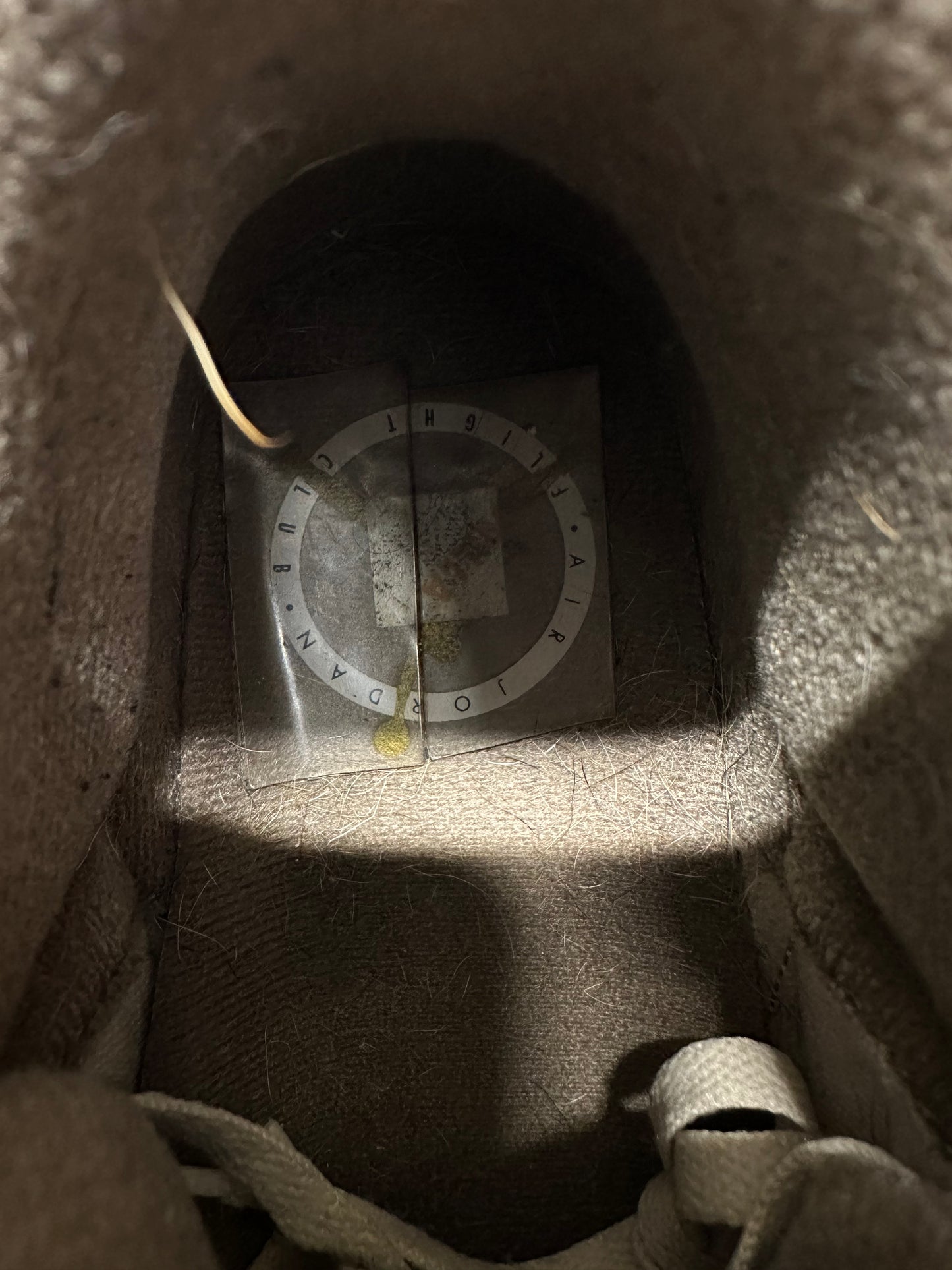 Air Jordan 3 Palomino Sz 10