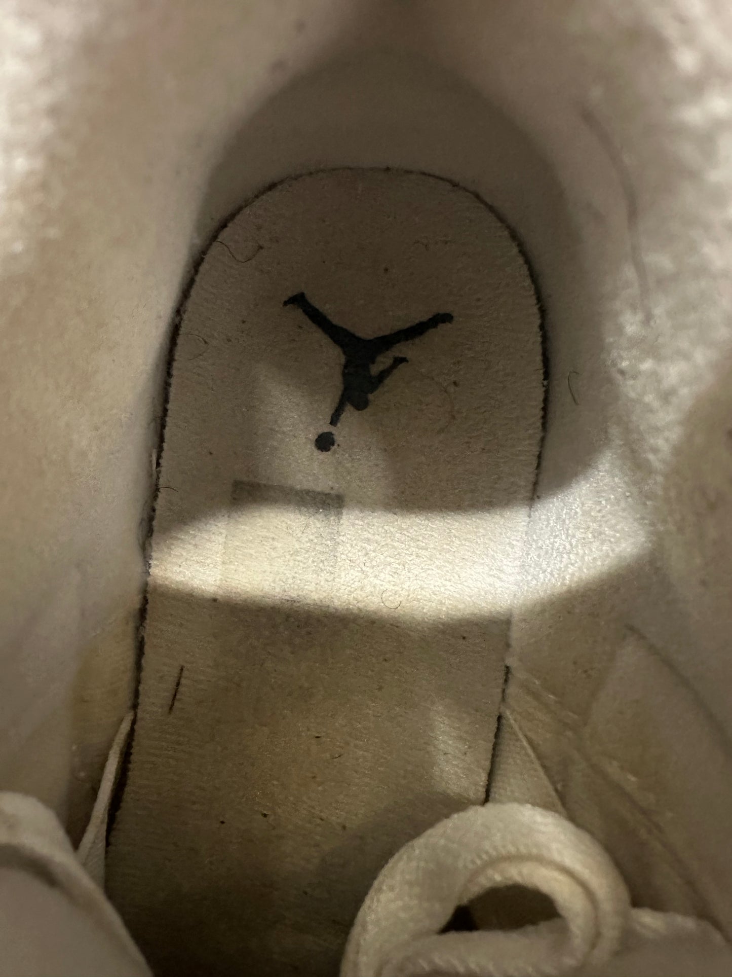 Air Jordan 3 Hide N Sneak Sz 6.5Y