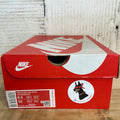 Nike Dunk Low Michigan Sz 8.5