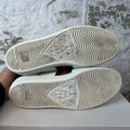 Gucci Ace Pig Cat White Sneaker Sz 8 No Box