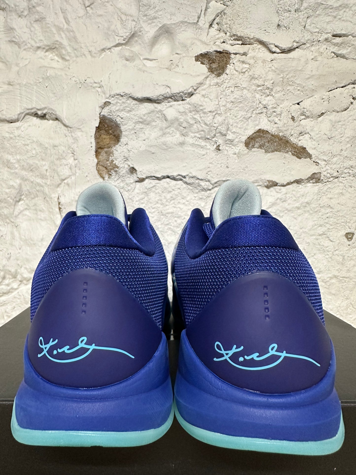 Nike Kobe 5 Protro X-Ray Sz 10