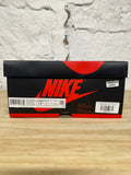 Air Jordan 1 High Bleached Coral Sz 12.5 DS