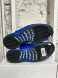 Air Jordan 12 Blueberry Sz 11.5