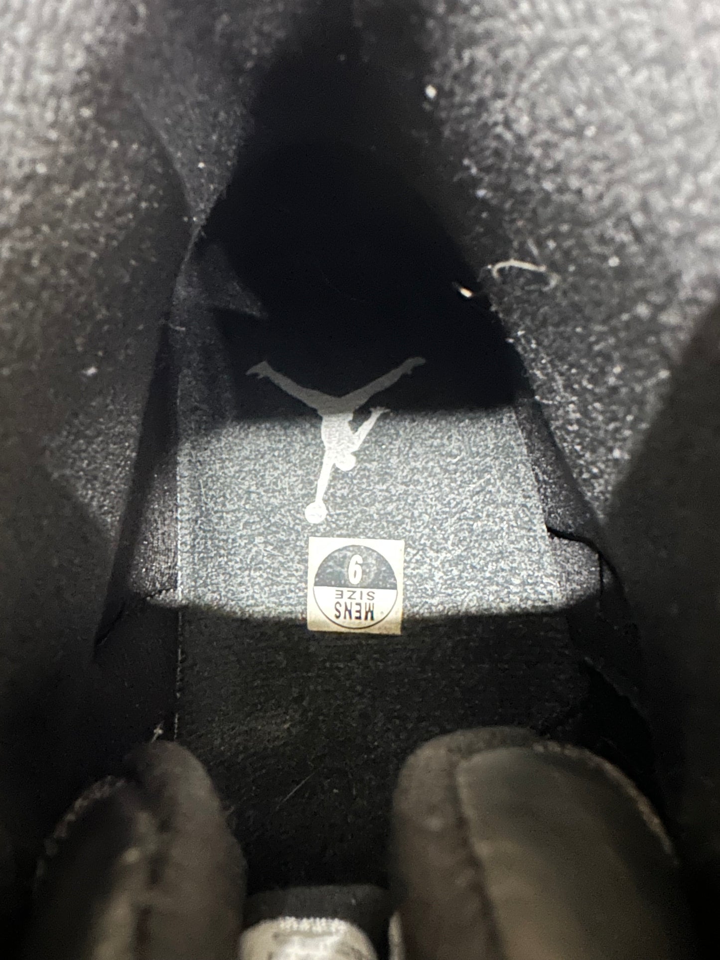 Air Jordan 12 Barons Sz 9