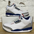 Air Jordan 3 True Blue (2016) Sz 9.5