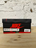 Air Jordan 1 Biohack Sz 10