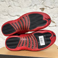 Air Jordan 12 Flu Game (2025) Sz 10 DS