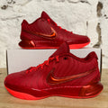 Nike Lebron 21 James Gang Sz 10
